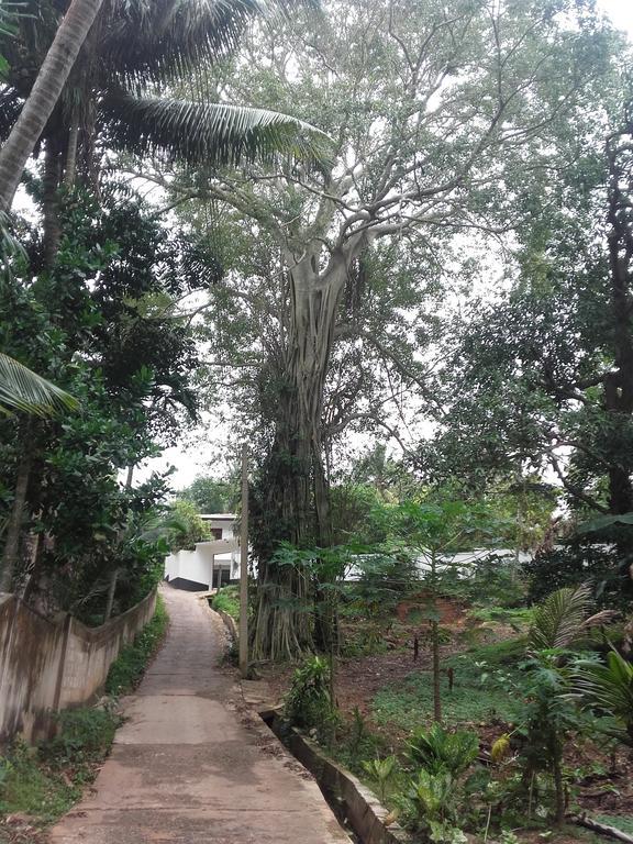 Disna Place Unawatuna Exterior photo